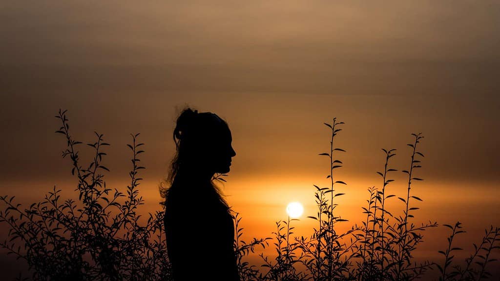 A silhouette of a woman standing in a field at sunset.